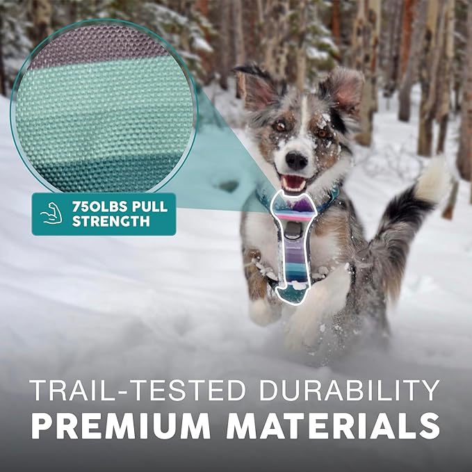 Embark Adventure Dog Harness, Reflective Trim XL Dog Harness for Extra Large Dogs No Pull - Military Grade Nylon, 2 Leash Clips & Gel Lined Handle. Soft & Padded Puppy Dog Harnesses for Any Breed-Mewly Pet