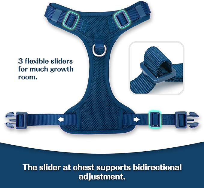 No Pull Dog Harness for Small Medium Large Dogs - Adjustable Two-Layer Mesh Dog Vest with Dual Clip, Escape Proof, Quick Release, Lightweight Breathable Mesh for Walking Hiking (Prussian Blue,S)-Mewly Pet