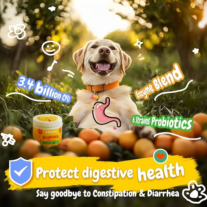 Penpen Probiotics for Dogs, Dogs Probiotics for Digestive Health, Multi-Probiotic and Enzyme Blend Promote Gut Health & Immune Support, Eases Sensitive Stomachs (Beef Chews, 50ct)-Mewly Pet
