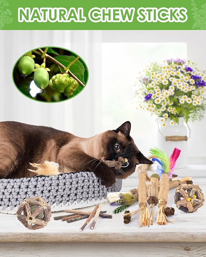 TINDTOP Cat Chew Toys, 12 Pack Silvervine Chew Sticks with 2 Pack Cage Balls for Kittens Teeth Cleaning, Matatabi Dental Care, Increase Appetite, Aggressive Chewers Cat Dental Toy-Mewly Pet