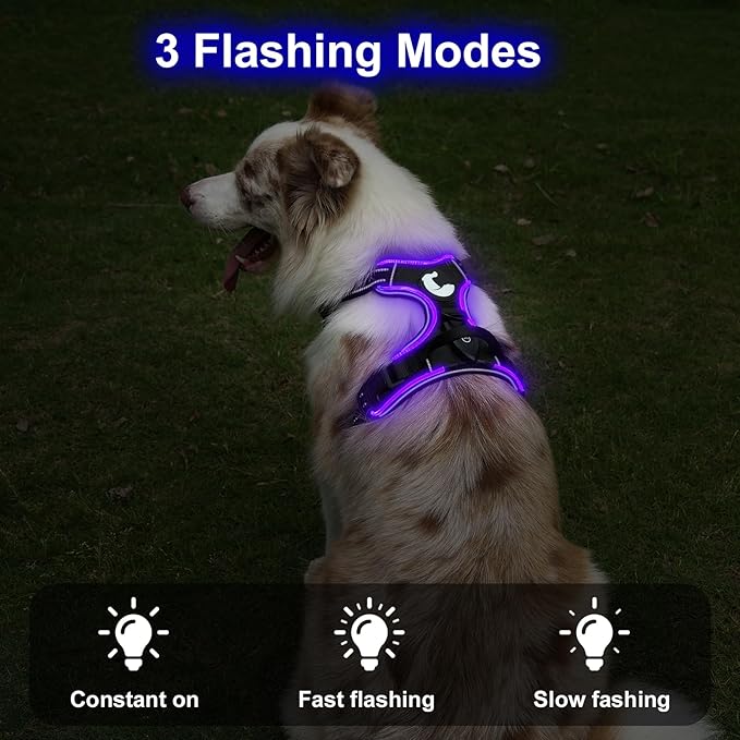 Taglory Light Up Dog Harness, Rechargeable No Pull Dog Vest with 3 Lightning Modes, Reflective Dog Harness with 2 Leash Clips & 4 Adjustable Slide Strips for Small Dogs, Black-Purple, S-Mewly Pet