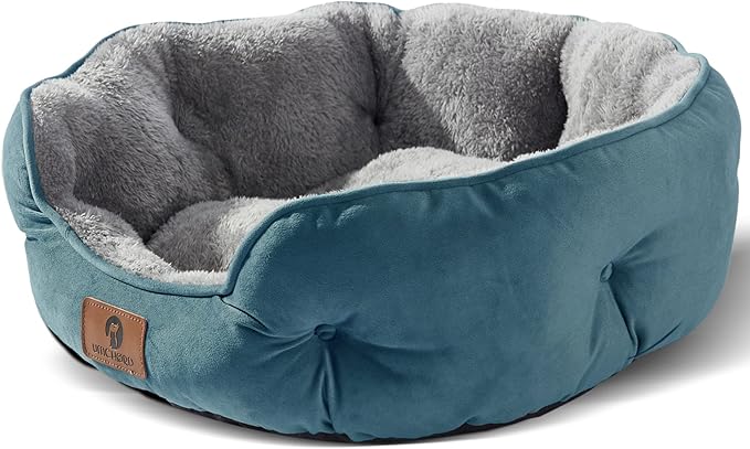 Asvin Medium Dog Bed for Medium Dogs, Cat Beds for Indoor Cats, Pet Bed for Puppy and Kitty, Extra Soft & Machine Washable with Anti-Slip & Water-Resistant Oxford Bottom, Teal, 25 inches-Mewly Pet