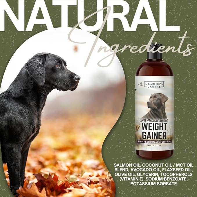 Dog Weight Gainer Liquid – High Calorie Dog Food Supplement for Rapid Weight Gain, Mass, and Recovery – Appetite Stimulant – 60 Servings-Mewly Pet