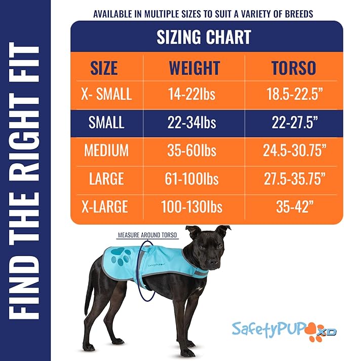 Dog Reflective Vest – Hi-Vis Fluorescent Visibility That Helps to Safeguard Your Pet On/Off Leash in Urban & Rural Areas (Teal, Small)-Mewly Pet