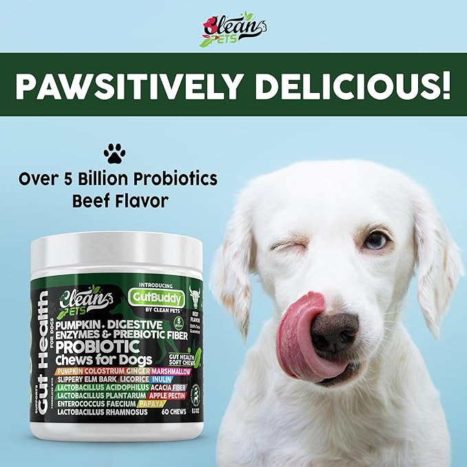 Probiotics for Dogs with Pumpkin, Colostrum, Digestive Enzymes, Ginger, Slippery Elm, Licorice, Inulin Fiber & More | Beef Flavor Soft Chews for Gut Health and Digestion Dog Supplement-Mewly Pet