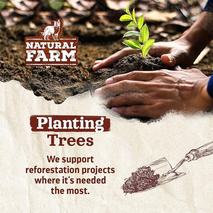 Natural Farm Odor Free Jumbo Bully Sticks (6 Inch, 12 Pack), Extra-Thick Dog Treats – Fully Digestible 100% Beef Treats, Natural Dental Chews – Keep Your Dog Busy with 50% Longer Lasting Chews-Mewly Pet