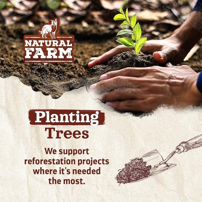 Natural Farm Odor-Free Jumbo Bully Sticks, (6 Inch, 2 Pack), Extra-Thick Chews for Dogs, Fully Digestible 100% Beef Treats, Great for Dental Health, Keep Your Dog Busy with 50% Longer Lasting Chews-Mewly Pet