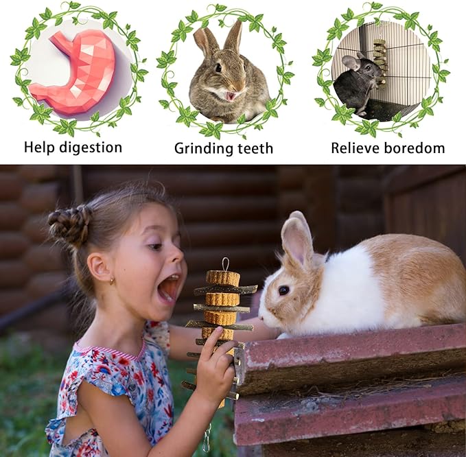 kathson Natural Small Animal Chew Toys for Teeth,4 PCS Rabbit Hanging Chewing Treats with Natural Organic Apple Stick Timothy Grass Carrot Cake for Hamsters Squirrel Guinea Pig Rabbits-Mewly Pet