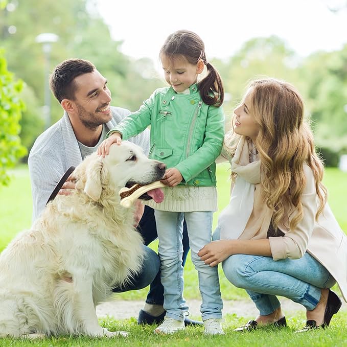 Sosation 6 Pcs Dog Toys for Aggressive Chewers Nylon Beef Flavor Bones Tough Puppy Teething Toys Puppy Chew Bones for Large Medium Small Breed Dogs Puppies Pets Chew Toys(Small Medium Large)-Mewly Pet