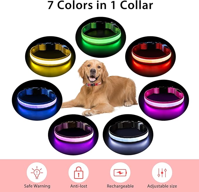 PcEoTllar Light up Dog Collar for Night Walking - LED Dog Collar Light Rechargeable Color Changing, Glow in The Dark Dog Collars Waterproof Glowing Dog Collars for Large Small Medium Dogs-Mewly Pet