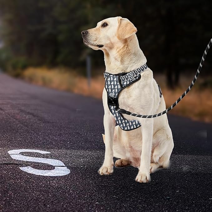 IVY&LANE No Pull Dog Harness with Leash Set, Reflective No Choke Pet Vest,Adjustable Oxford Dog Vest Harness with Easy Control Handle for Large Dogs (Vintage Blue,L)-Mewly Pet