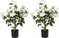 Artificial Rose Flower Trees 2 Pack- 24’’ Lifelike Plant in Pot with White Flowers Decorative Rose Trees for Home, Office, Wedding, and Event Decor, White