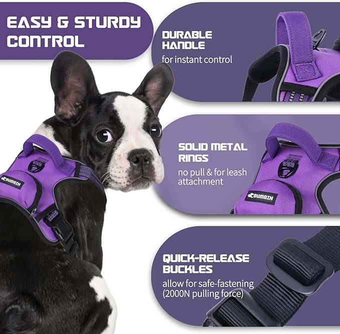 BUMBIN Dog Harness for Large Dogs, No Pull Adjustable No Choke Pet Vest with Dog Leash Fit Smart Reflective Pet Walking Harness for Training Easy Control Soft Handle Purple S-Mewly Pet