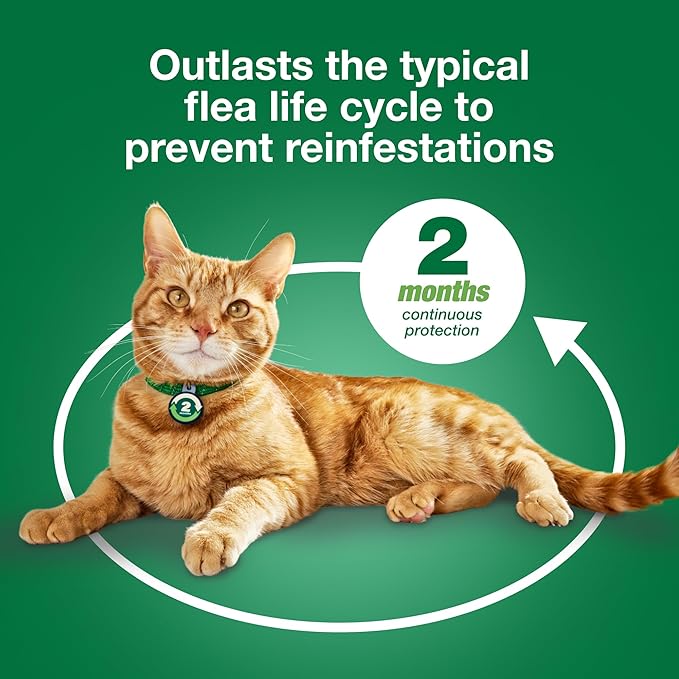 Advantage XD Small Cat Flea Prevention & Treatment For Cats 1.8-9lbs. | 4-Topical Doses, 2-Months of Protection Per Dose-Mewly Pet