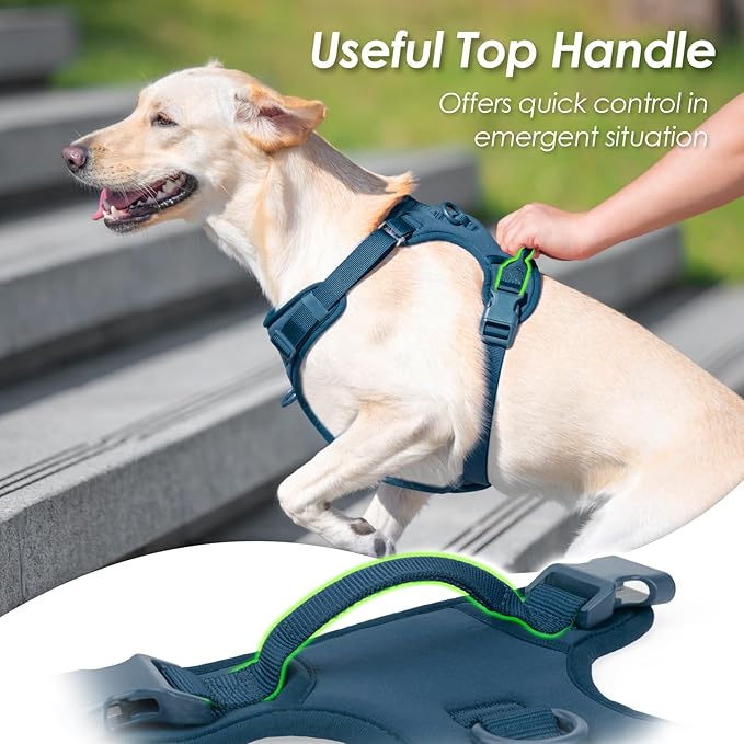 No Pull Dog Harness, Puppy Vest with Front Clip for Small Medium Large Sized Dog(Prussian Blue,M)-Mewly Pet