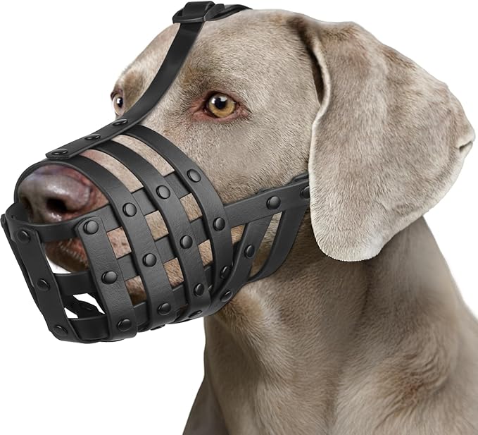 Mayerzon Dog Muzzle for Medium Large Dogs, Humane Basket Muzzle, Soft & Lightweight & Adjustable | Anti Biting Chewing Eating, Suits Training Walks Grooming Vet Visits, Drink & Pant Easily (Black, L)-Mewly Pet