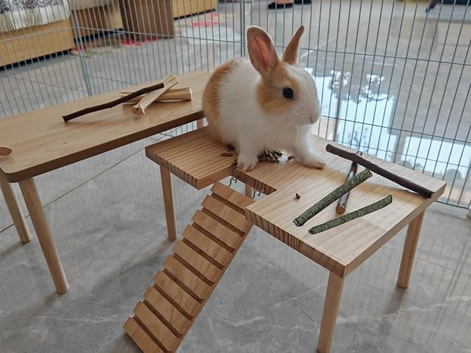 Bamboo Apple Sticks for Chinchillas Hamster Mouse Gerbil Bunny Pet Rat Guinea Pig Rabbit Chew Wood Timothy Hay Sticks Enrichment Toys for Teeth Supply Treats Snacks for Boredom Indoor-Mewly Pet