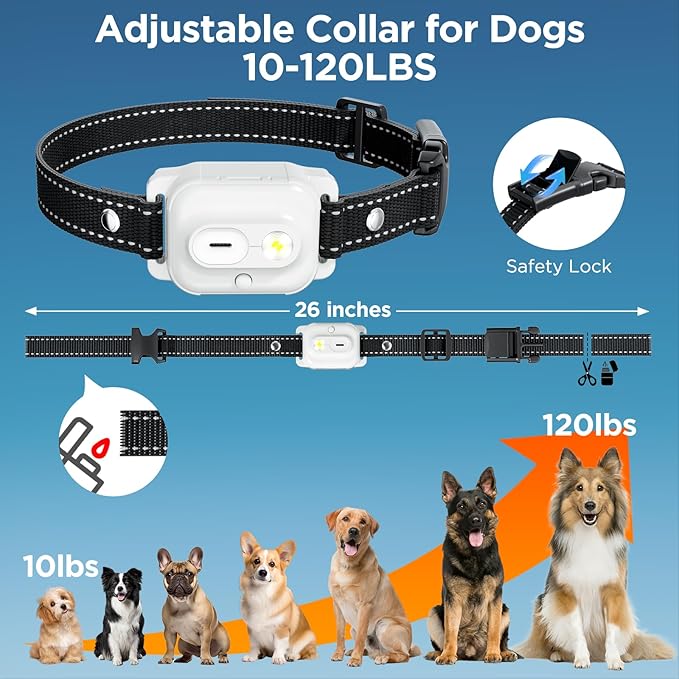 Dog Shock Collar, 3300ft Dog Training Collar with Remote, IPX7 Waterproof Rechargeable Shock Collar Dogs with Beep, Vibration, Safety Shock, Light Mode