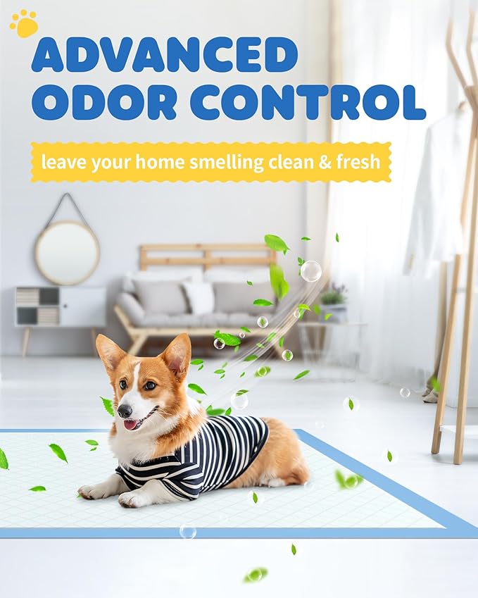 150-Pack Large Puppy Pads - 22'' x 22'' Pee Pads for Dogs Potty Training with Leak-Proof Quick-Dry Design, 6-Layer Dog Pads Large, Blue-Mewly Pet