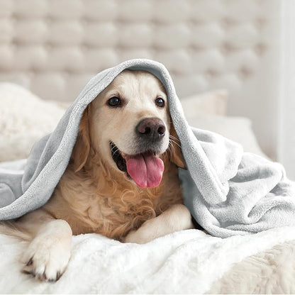 BEDELITE Fleece Blanket Twin Size Dove Gray Throw Blankets for Couch & Bed, 300GSM Luxury Plush Cozy Fuzzy Blanket 60x80 inches, Super Soft Warm Lightweight Throw Blanket for Travel Camping
