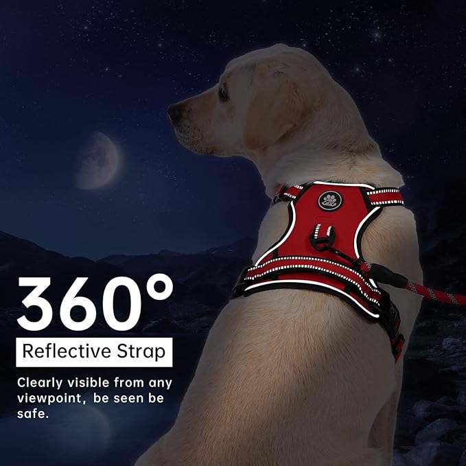 IVY&LANE No Pull Dog Harness for Medium Dogs, Dog Vest Harness with Leash, Safety Belt and Storage Strap, Fully Adjustable, 360 Reflective Strip, Soft Handle (Red, M)-Mewly Pet