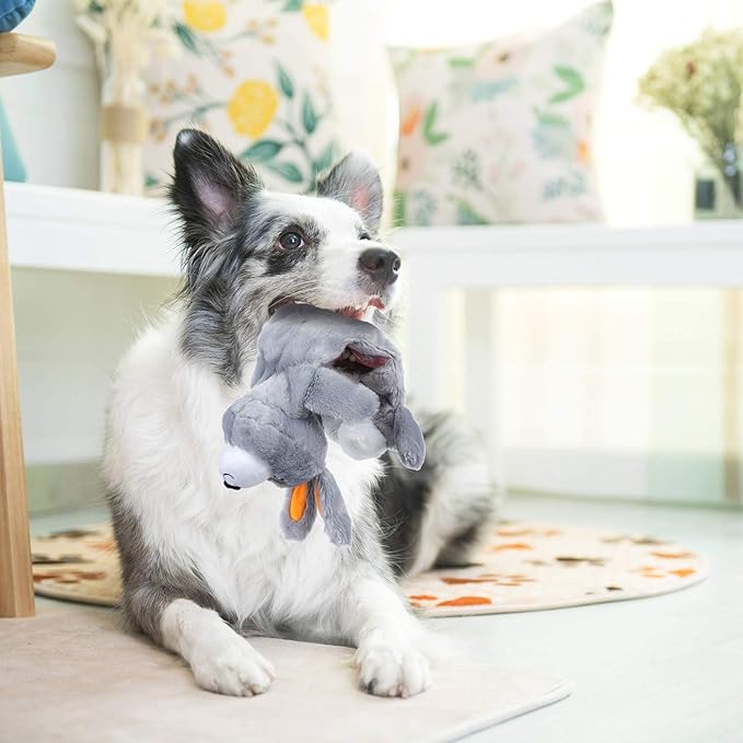 Nocciola 5 PCS Less Stuffing Dog Squeaky Toys for Aggressive Chewers, Durable Plush Dog Toy Set with Stuffed Head for Small to Large Dogs-Mewly Pet