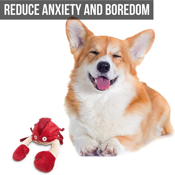 Hyper Pet Doggie Pal Interactive Dog Toys (Dog Toy that Wiggles, Vibrates, and Barks Plush Toys for Boredom and Stimulating Play)-Mewly Pet