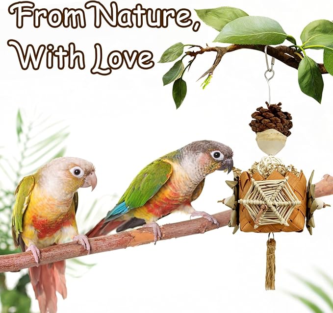 5-Pack Natural Hanging Basket Bird Toys – Foraging & Chewing Toys for Parakeets, Cockatiels, Conures & Small Birds – No Plastic, All-Natural Materials-Mewly Pet