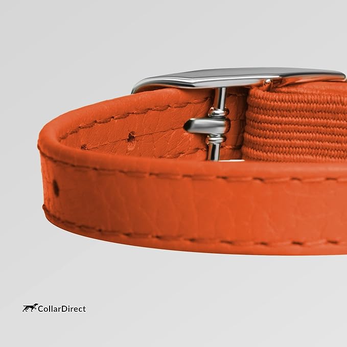 CollarDirect Leather Cat Collar, Cat Safety Collar with Elastic Strap, Kitten Collar for Cat with Bell Black Blue Red Orange Lime Green (Neck Fit 6"-7", Orange)-Mewly Pet