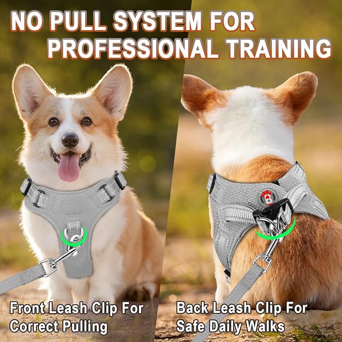 BARKBAY Dog Harness, Reflective Adjustable No Pull Harness, Breathable Soft, Grey, XXS-Mewly Pet