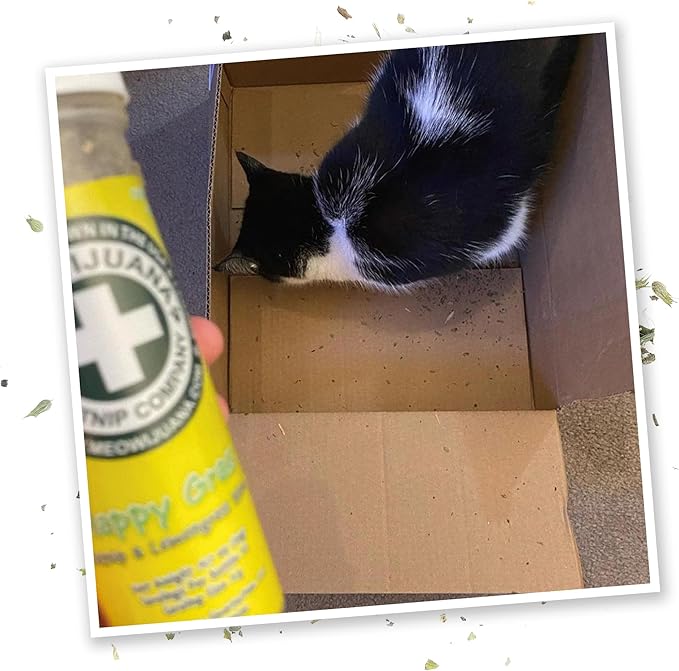 Meowijuana Jump 'n' Jamb Door Hanging Cat Toy Bundle | Funky Monkey + Happy Grass Blend | Refillable Interactive Catnip Toy | Promotes Play and Cat Health | Potent Catnip Grown in North America-Mewly Pet