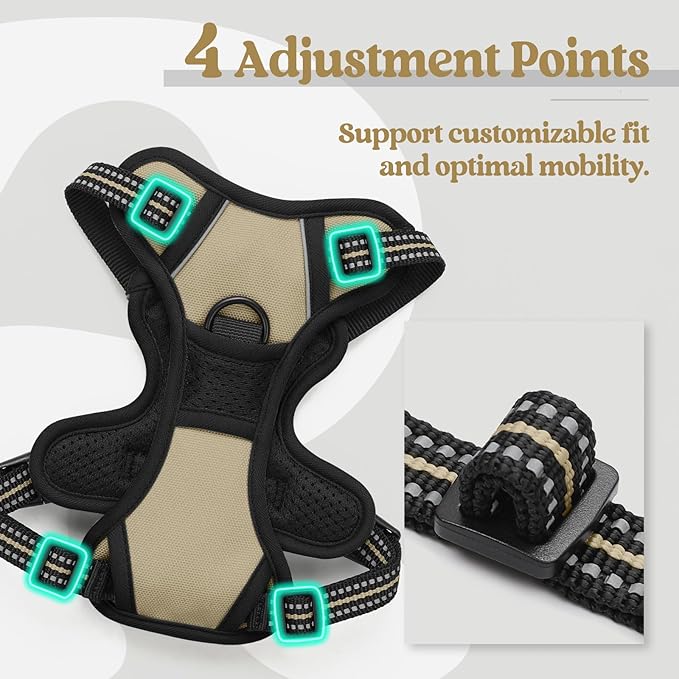 rabbitgoo Dog Harness No Pull with 2 Leash Clips, Adjustable Soft Padded, Reflective Oxford No Choke Pet Vest with Easy Control Handle for Puppy, Beige, XS-Mewly Pet