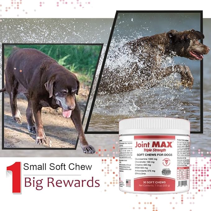 PHS Joint MAX Triple Strength (TS) Soft Chews for Dogs - Glucosamine, Chondroitin, MSM, Turmeric, Omega 3 - Hip and Joint Pain Relief and Support for Dogs - Made in USA - 30 Soft Chews-Mewly Pet