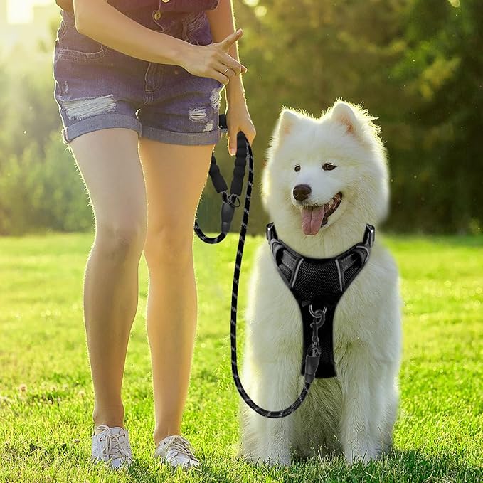 BARKBAY Dog Harness No Pull with ID Tag Pocket - Heavy Duty, Reflective, Easy Control for Large Dogs(Black,M)-Mewly Pet