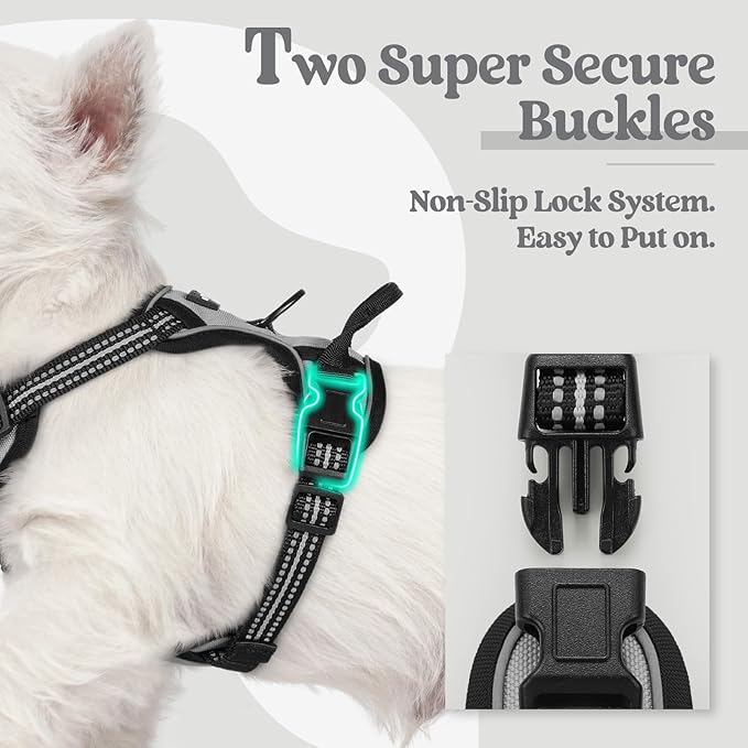 rabbitgoo Dog Harness No Pull with 2 Leash Clips, Adjustable Soft Padded, Reflective Oxford No Choke Pet Vest with Easy Control Handle for Puppy, Grey, XS-Mewly Pet