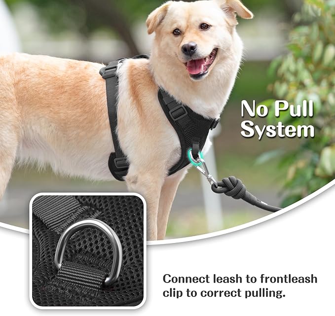 No Pull Dog Harness for Small Medium Large Dogs - Adjustable Two-Layer Mesh Dog Vest with Dual Clip, Escape Proof, Quick Release, Lightweight Breathable Mesh for Walking Hiking (Black,XL)-Mewly Pet