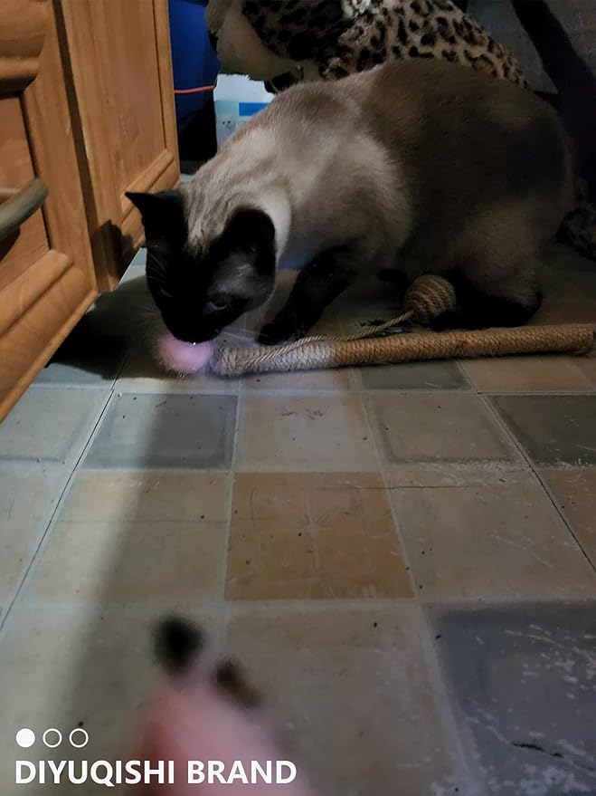 50-Pack Soft Cat Toy Balls – Fun Playtime & Exercise for All Cats (1.5 inch, Cat Toys Mega Set)-Mewly Pet