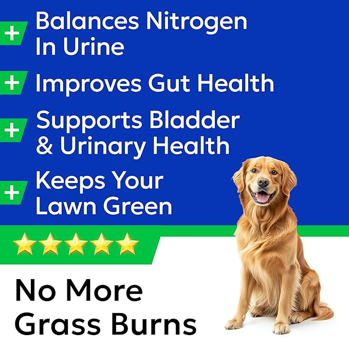 BARK&SPARK Green Grass Chews - Pee Grass Spot Saver Caused by Dog Urine - Urine Neutralizer for Lawn, Gut Health Probiotics & Digestive Enzymes,Lawn Burn from Dog Urine, Grass Burn Spot Chews (240Ct)-Mewly Pet