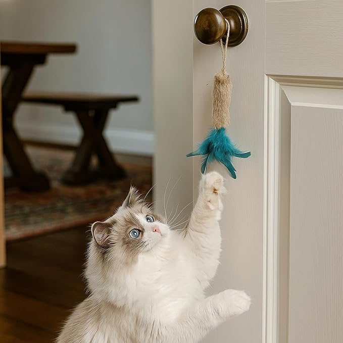 3 Pack Rabbit Fur Catnip Toys with Feathers – Interactive Carrot Cat Toys with Galls Fruit for Indoor Cats and Kittens-Mewly Pet