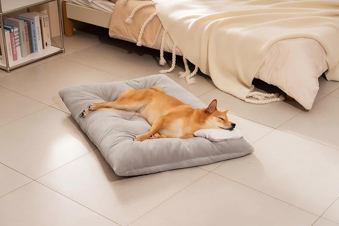 FUNNY FUZZY Washable Dog Bed,Reversible Plush Dog Crate Mat, Soft Fluffy Kennel Pad,Pet Sleeping Mattress for Large,Jumbo,Medium Sized Dogs Breeds,Indoor Cats,41.7" × 28.3", Light Grey-Mewly Pet