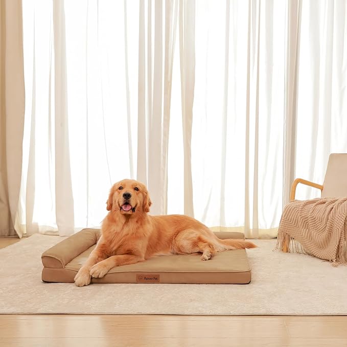 Chew Proof Dog Bed, 3" Memory Foam Dog Bed for Medium and Large Dogs, Removable and Washable Microsuede Cover, Waterproof Liner, Nonskid Bottom, 44x32 Inches XXL Khaki-Mewly Pet