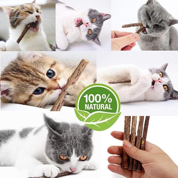 10 PCS Cat Catnip Sticks, Natural Matatabi Silvervine Sticks - Cleaning Teeth Molar Tools Kitten Chew Toy Natural Catnip Cats Toy-Mewly Pet
