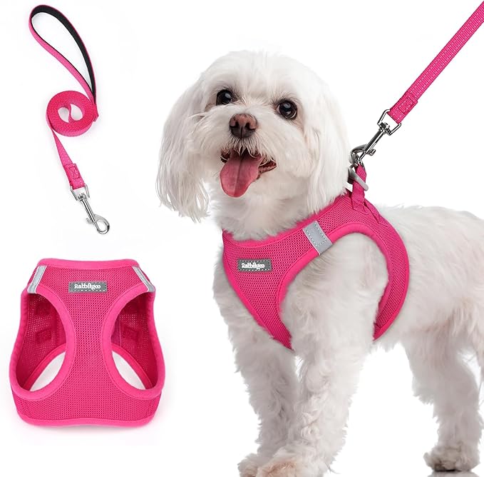 rabbitgoo Dog Harness Small Sized and Leash Set, Step in Soft Light Puppy Vest, Breathable Mesh Pet Harness, Reflective for Safe Easy Walking, Rose Red M-Mewly Pet