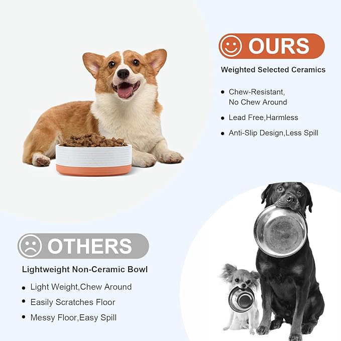 SPUNKYJUNKY Ceramic Dog and Cat Bowls 2 Pack, 6.1'' Dog and Cat Food Water Double Feeding Bowls Non-Slip for Cats and Medium Sized Breed Dogs Microwave Dishwasher Safe - 28.7 OZ, 2pcs, Pattern White-Mewly Pet