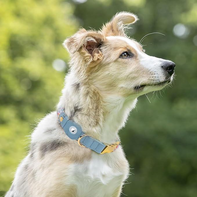 AirTag Dog Collar for Small Medium Large Breed - Adjustable Cute Pattern Dog Collar with Airtag Holder - Soft Leather Tracker GPS Apple Air Tag Pet Collars (Small, 12"-15" Neck Fit, Floral)-Mewly Pet