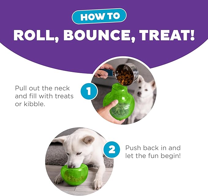 Outward Hound by Planet Dog Snoop Durable Interactive Treat Dispensing Dog Toy, Large, Green-Mewly Pet