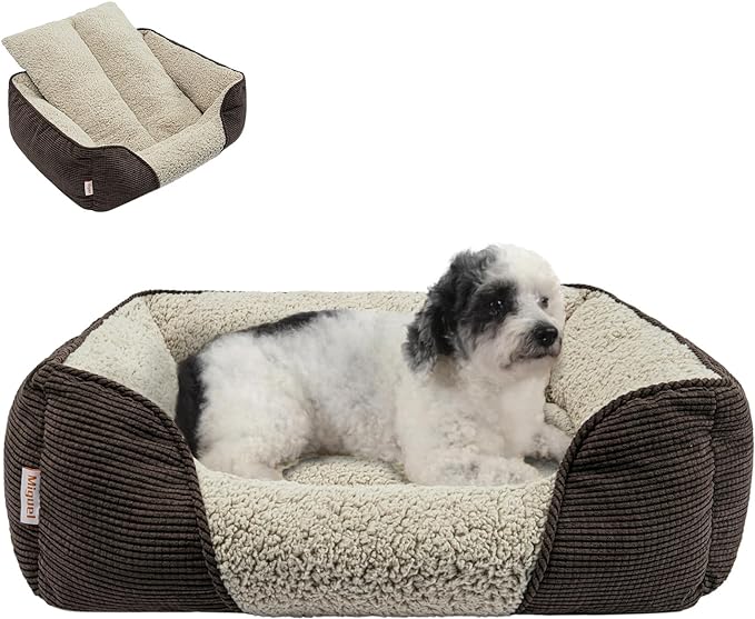 Miguel Washable Dog Bed with Removable Cushion for Medium Small Dogs, Easy to Wash Pet Sofa Bed with Side, Rectangle Bolster Cat Bed Calming Cuddle Puppy Bed with Anti-Slip Bottom, Brown 25 Inch-Mewly Pet