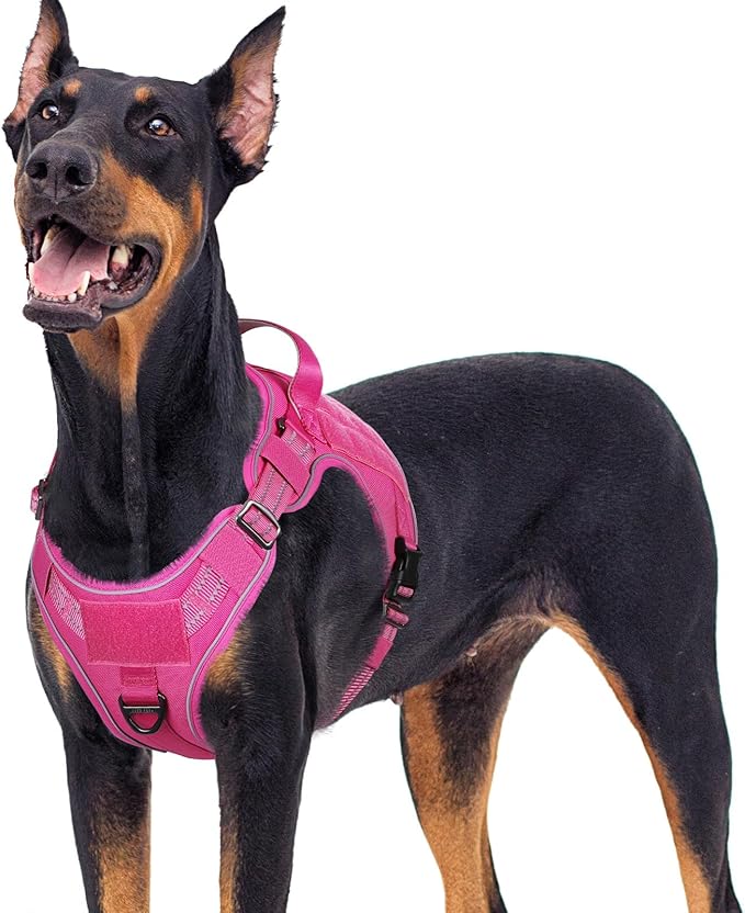 rabbitgoo Dog Harness for Large Dogs No Pull, Tactical Service Pet Vest with Molle and Control Handle, Adjustable and Reflective Military Harness for Easy Walking and Training, Rose Red, XL-Mewly Pet