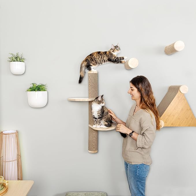 Cat Climbing Wall System – Modern Floating Shelves & Perches for Cats - Sunrise Steps | Ascentials by FurHaven-Mewly Pet