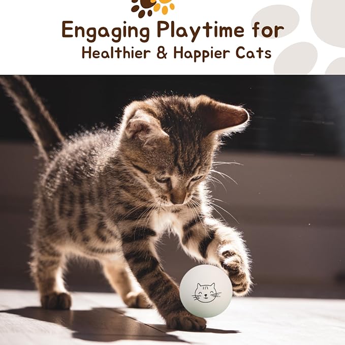 Ping Pong Balls for Cats, 6 Pack, Enrichment Toys, Cat Lovers Gift Ideas, Ball Pits, Bouncy-Mewly Pet